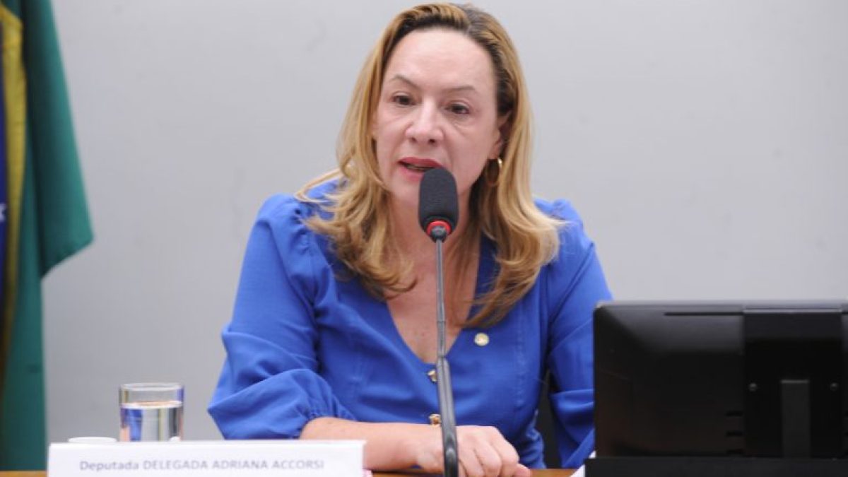 Comissão aprova ampliação gradual de delegacias especializadas de atendimento à mulher