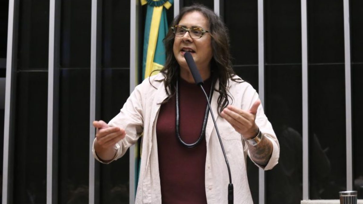 Comissão aprova projeto que exige telhado verde em novos prédios públicos e moradias populares