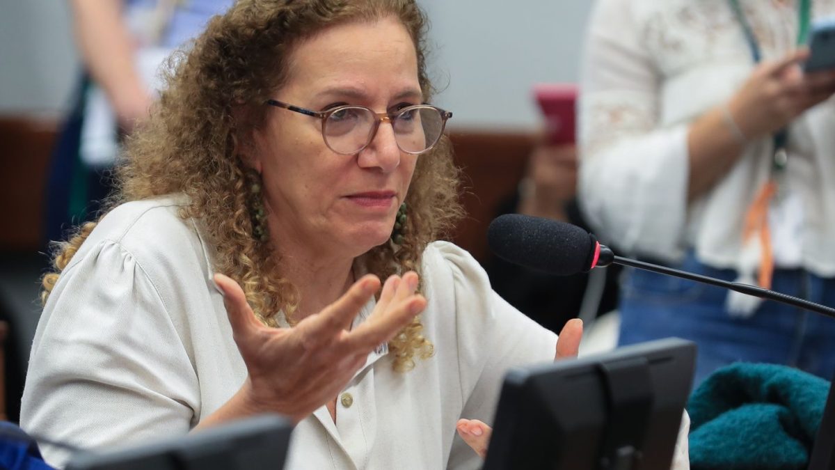 Parlamentares governistas vão aos EUA para contrapor narrativas da direita brasileira