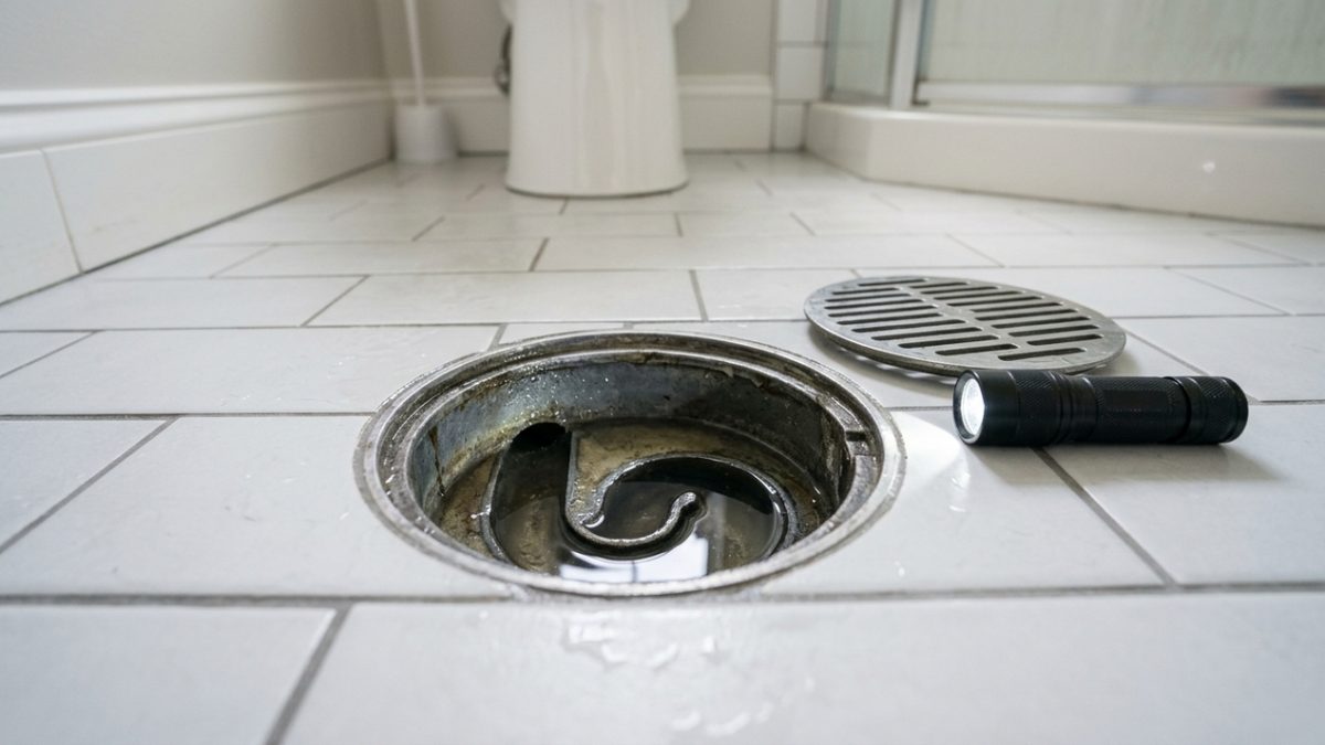 Mau cheiro no banheiro: causas comuns e como eliminar o odor de esgoto