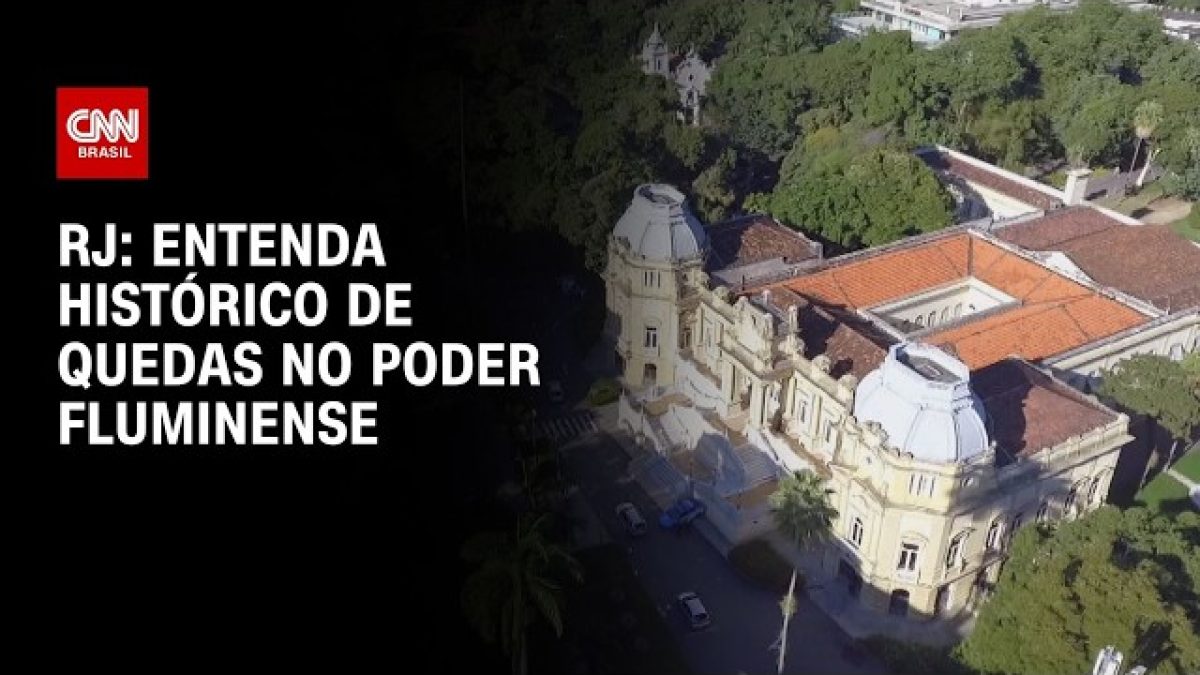 Cachorro resgatado da rua compõe mesa de honra da Câmara do Rio; veja fotos