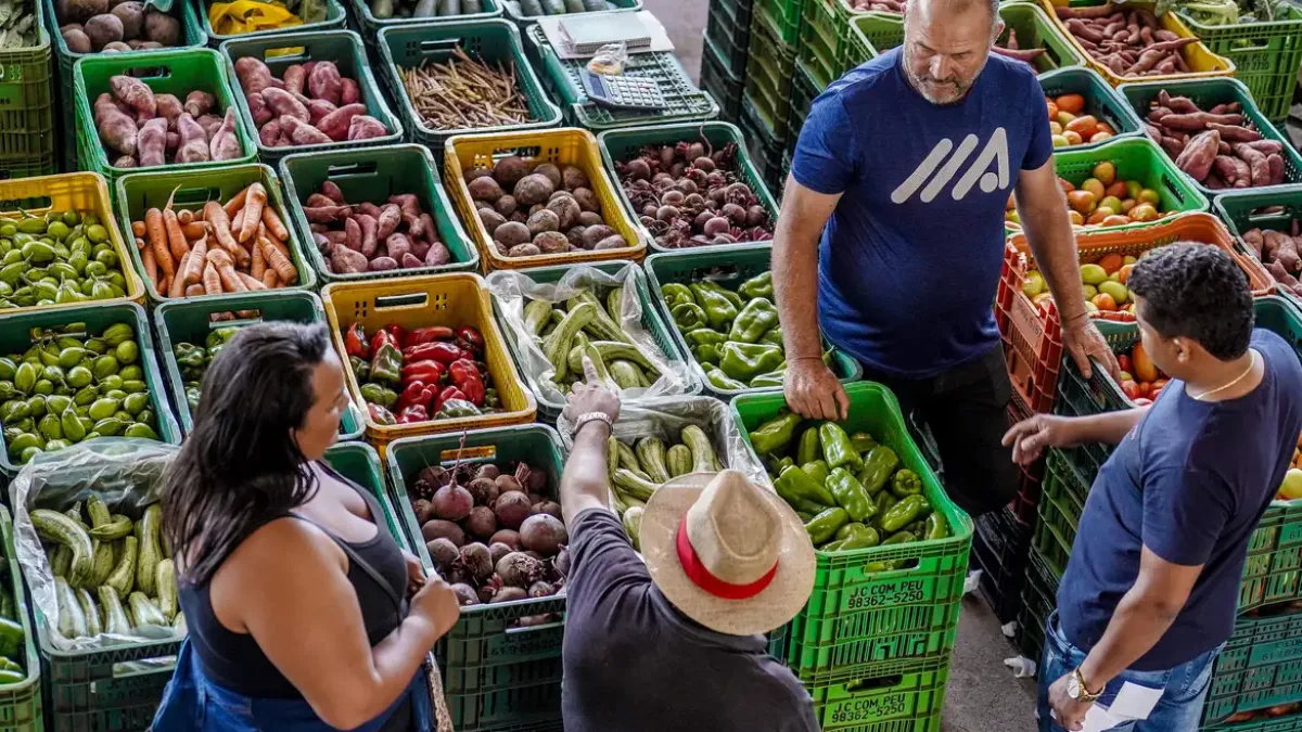 Privatização da BR Distribuidora elevou diesel e impactou alimentos, aponta artigo