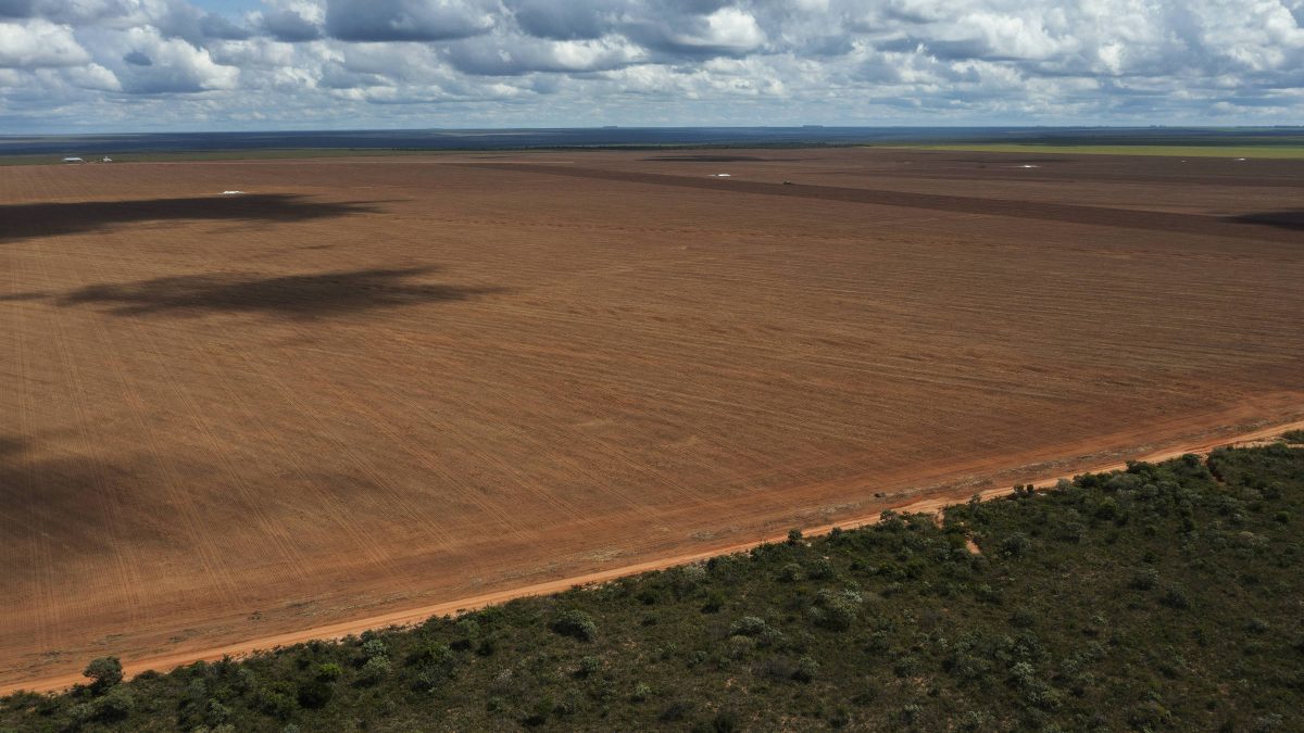 Desmatamento na Amazônia em maio fica próximo da mínima histórica, aponta Inpe