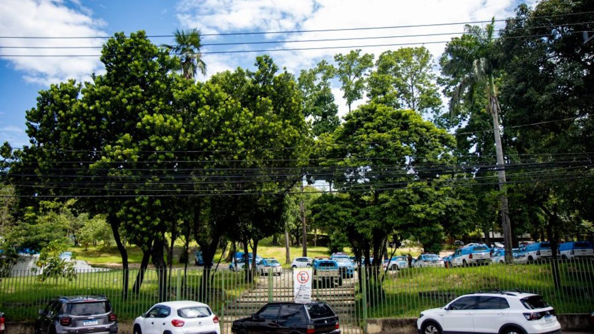 Parque Ary Barroso, um quintal de memórias
