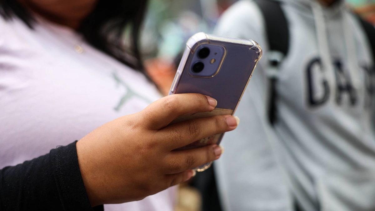 Constitucionalismo digital: especialista analisa regulação do poder digital no Brasil e no mundo
