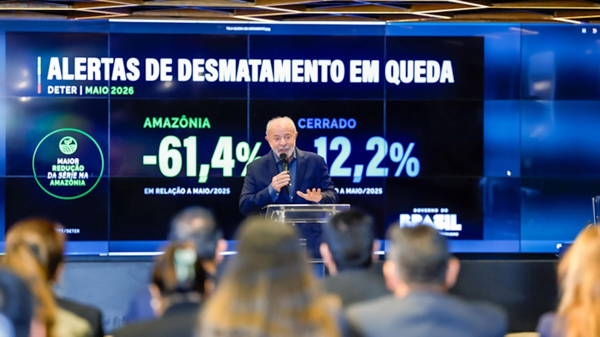Desmatamento na Amazônia cai 61% em maio e atinge menor nível da série histórica