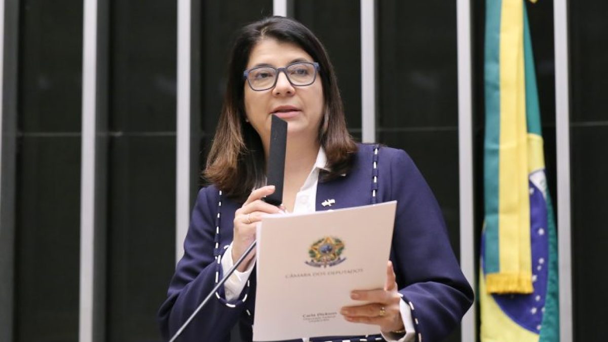 Comissão debate assistência consular e combate ao tráfico de brasileiros no exterior
