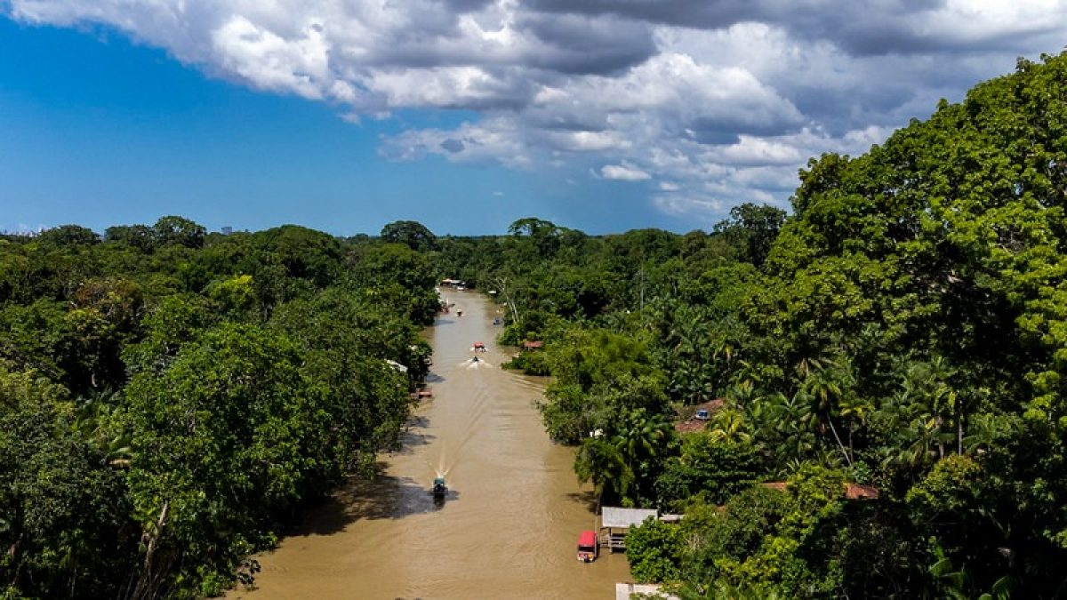 Amazônia se recupera de seca histórica, mas Pantanal segue com níveis 56% abaixo da média