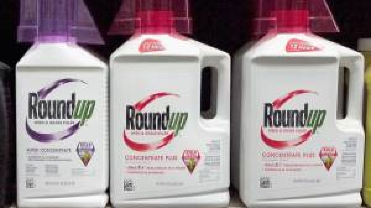 Ações da Bayer disparam 20% após vitória na Suprema Corte dos EUA sobre herbicida