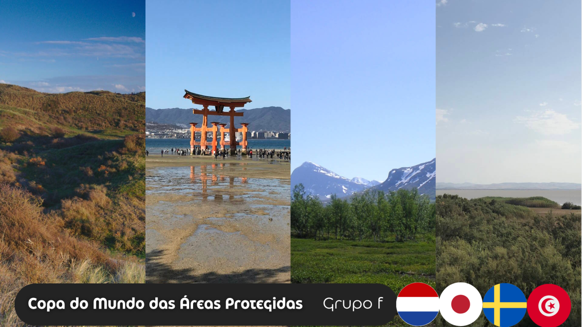 Copa do Mundo das Áreas Protegidas: Grupo F