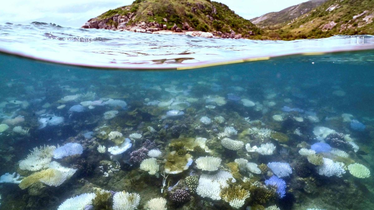 Mudanças climáticas intensificam El Niño e tornam eventos extremos mais frequentes