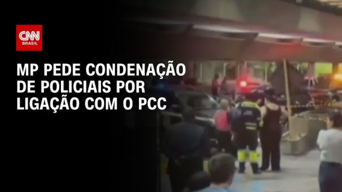Esquema 'gado de papel' lavou R$ 100 milhões para o tráfico, aponta MP