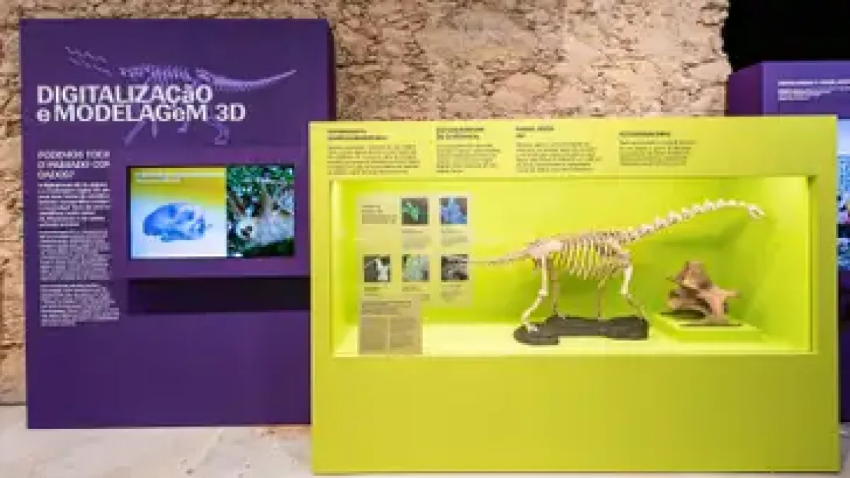 Museu Nacional lança exposições inéditas em comemoração aos 208 anos