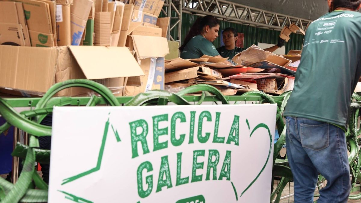 Reciclagem entra na disputa entre Caprichoso e Garantido em Parintins