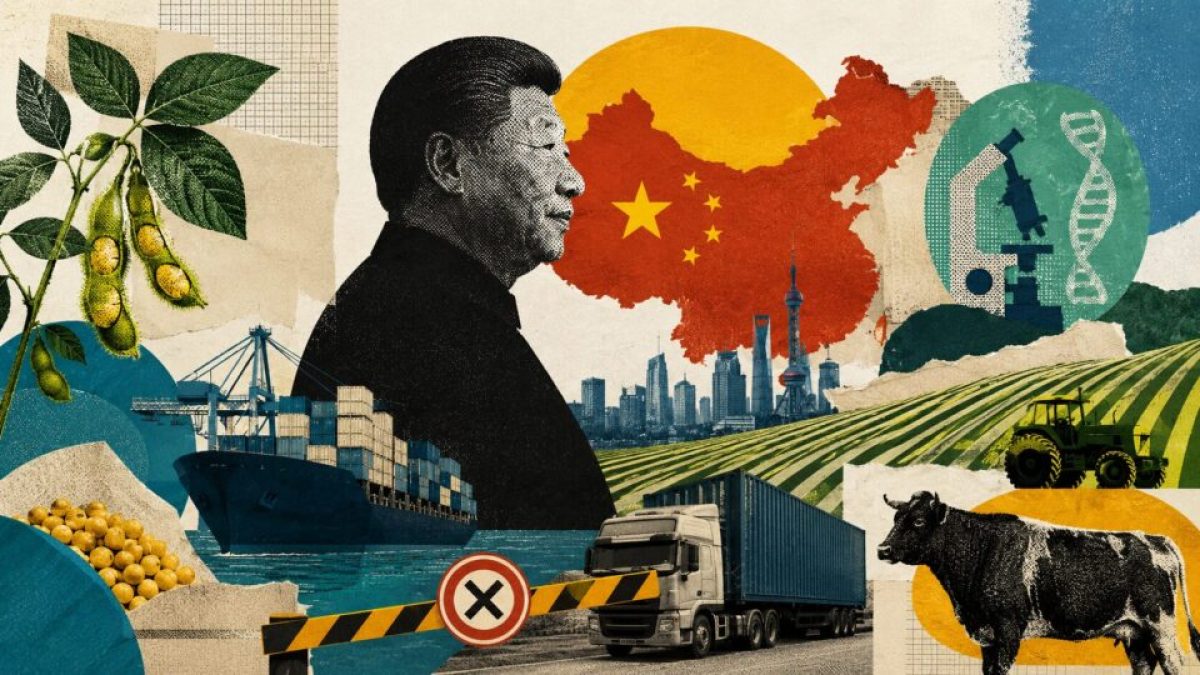 Plano de autossuficiência alimentar da China pode reduzir exportações brasileiras de soja e carne