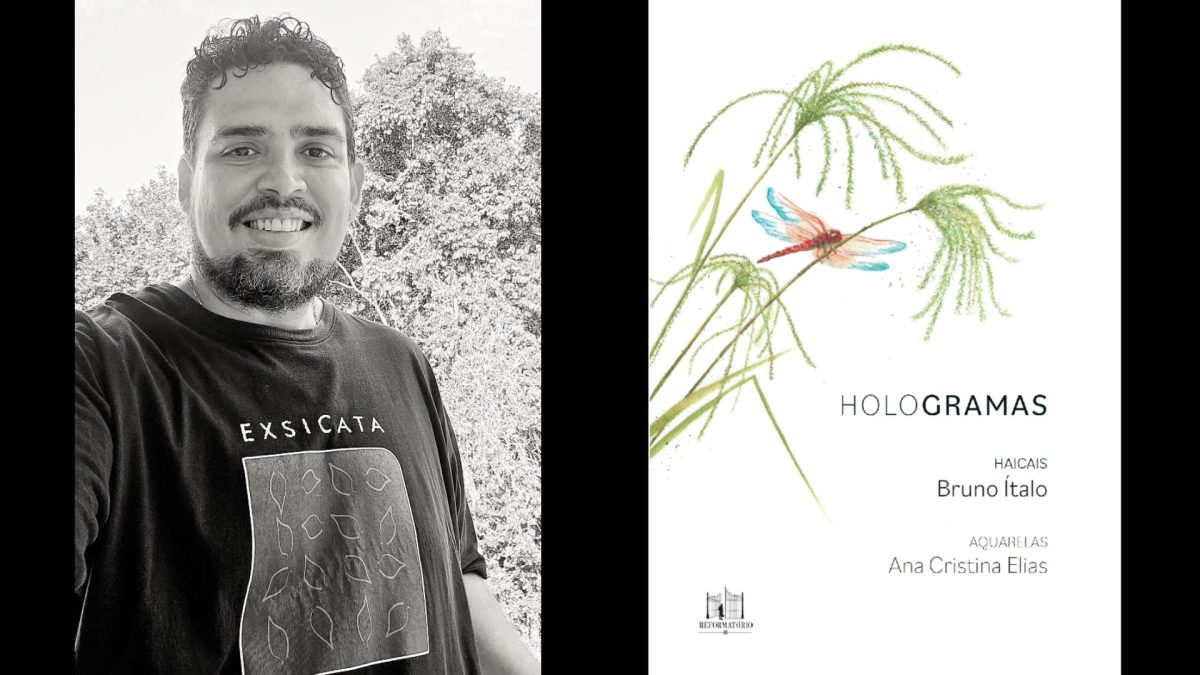 Livro de poemas, Hologramas, exprime a máxima visualidade da arte do haicai