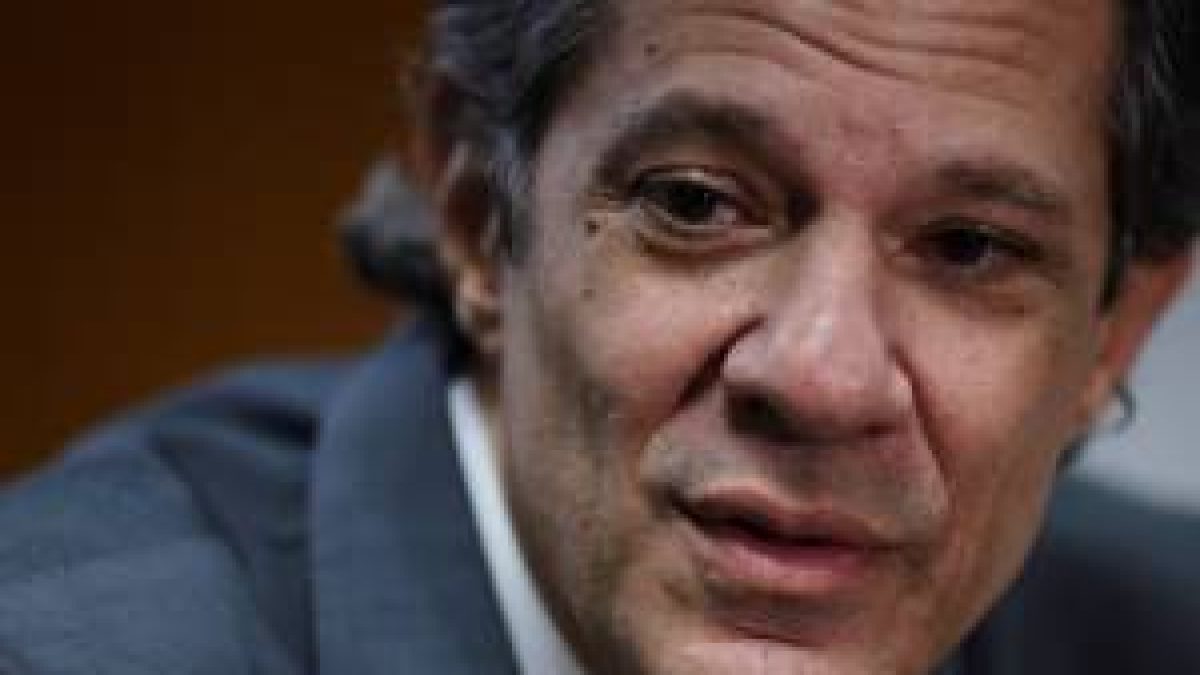 Marina e Tebet disputarão vagas no Senado por São Paulo, define Haddad