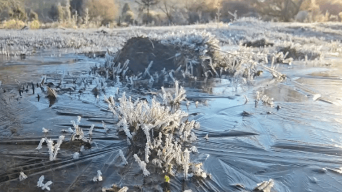 Cidades do Sul têm segundo dia de temperaturas negativas; veja locais