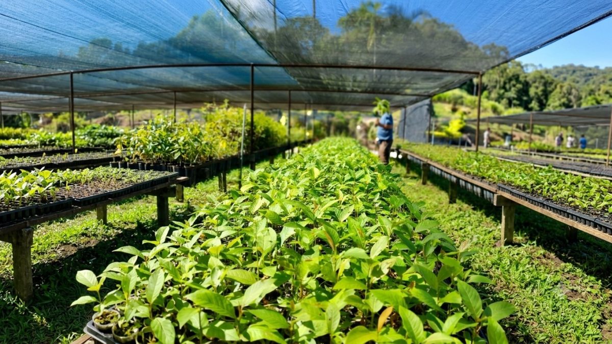 Governo de Minas lança programa de R$ 1 bilhão para recuperar bacia do Rio Doce