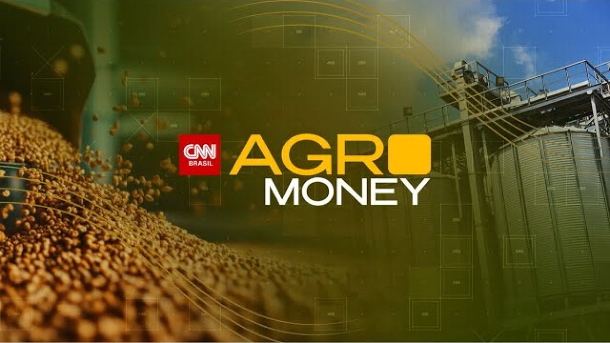 Safra de milho deve atingir 115,8 milhões de toneladas