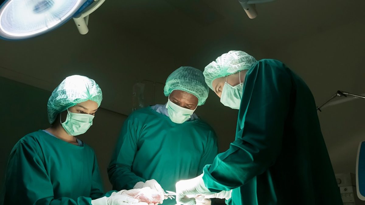 Cientistas transplantam rins e fígado de porco em humano pela primeira vez