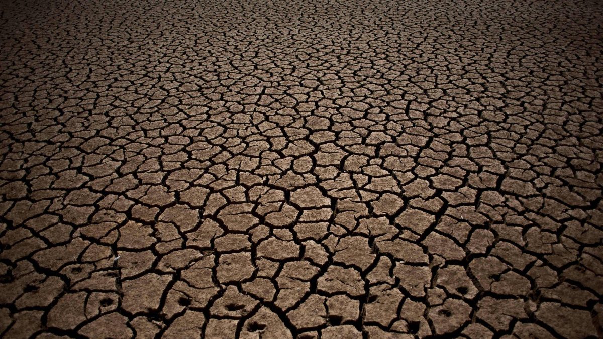 Países acusam interesses ligados a combustíveis fósseis de atacar a ciência climática em Bonn