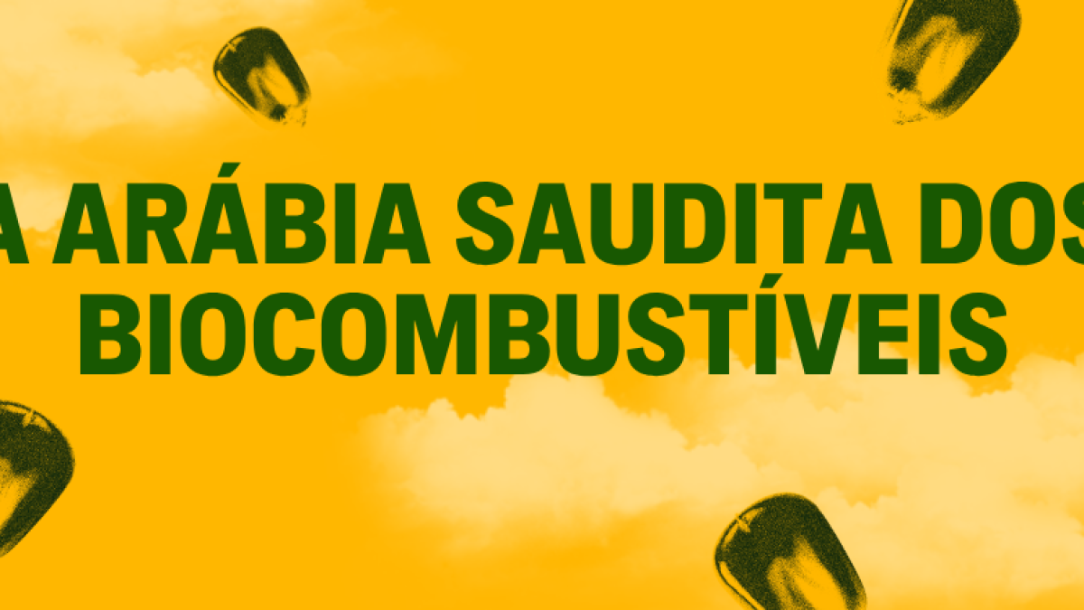 Brasil almeja ser 'Arábia Saudita dos biocombustíveis' com plano que preocupa ambientalistas