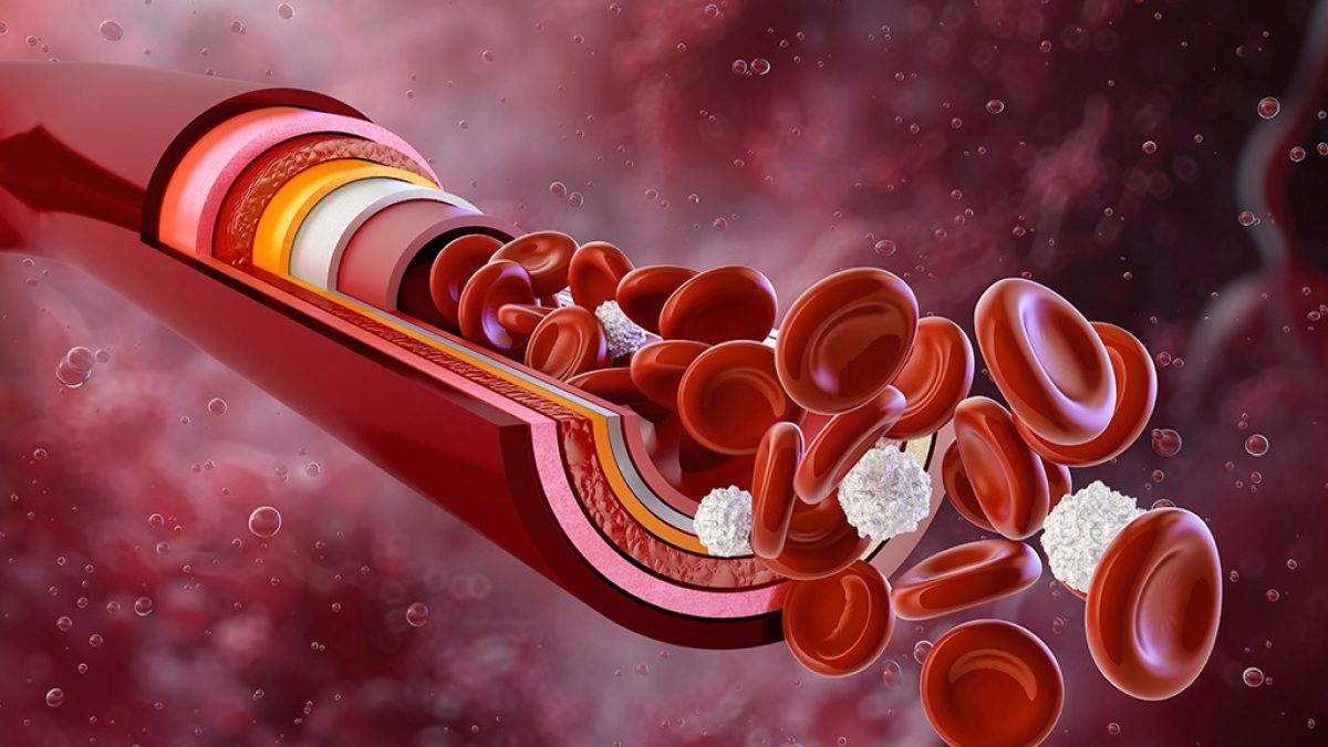 Quanto sangue é necessário para uma ereção humana?
