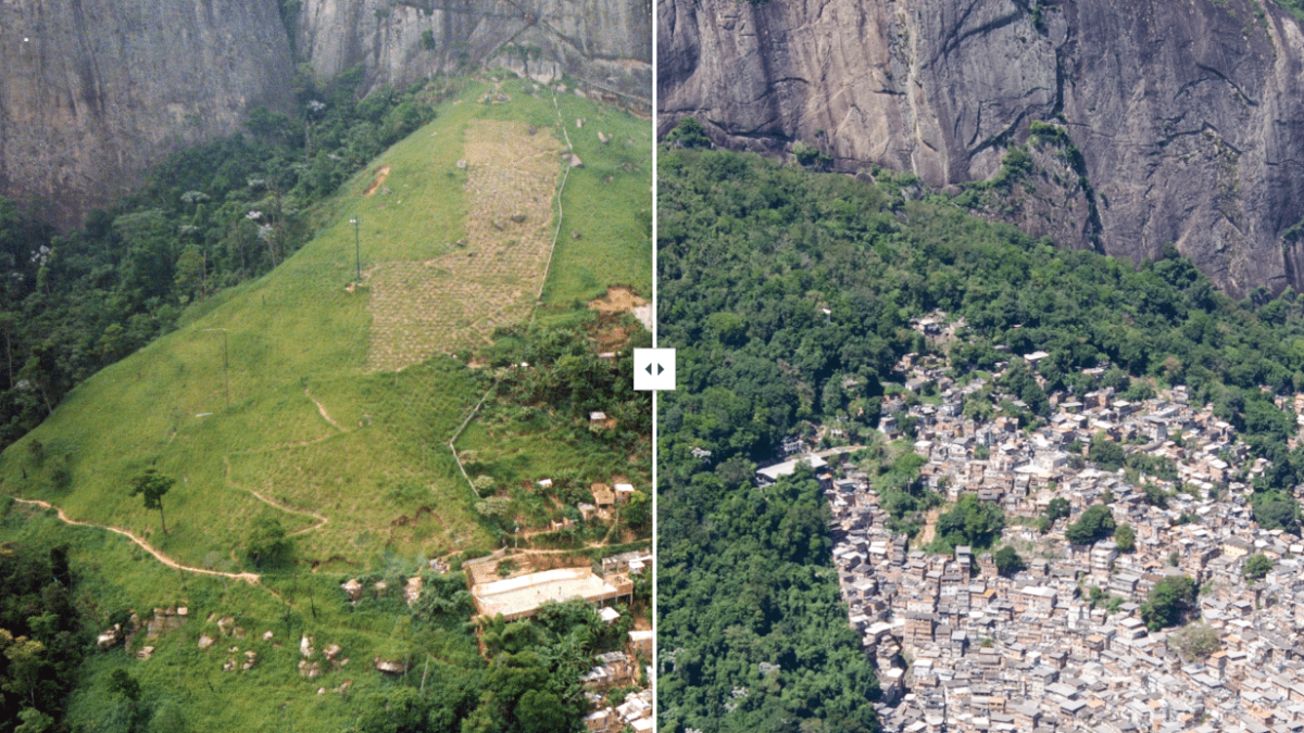 A cidade brasileira que plantou 11 milhões de árvores nativas para recuperar áreas degradadas e nascentes