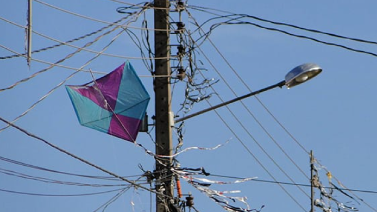 Pipas causam 3,5 mil interrupções de energia em MG e afetam 1,1 milhão de clientes em 2025
