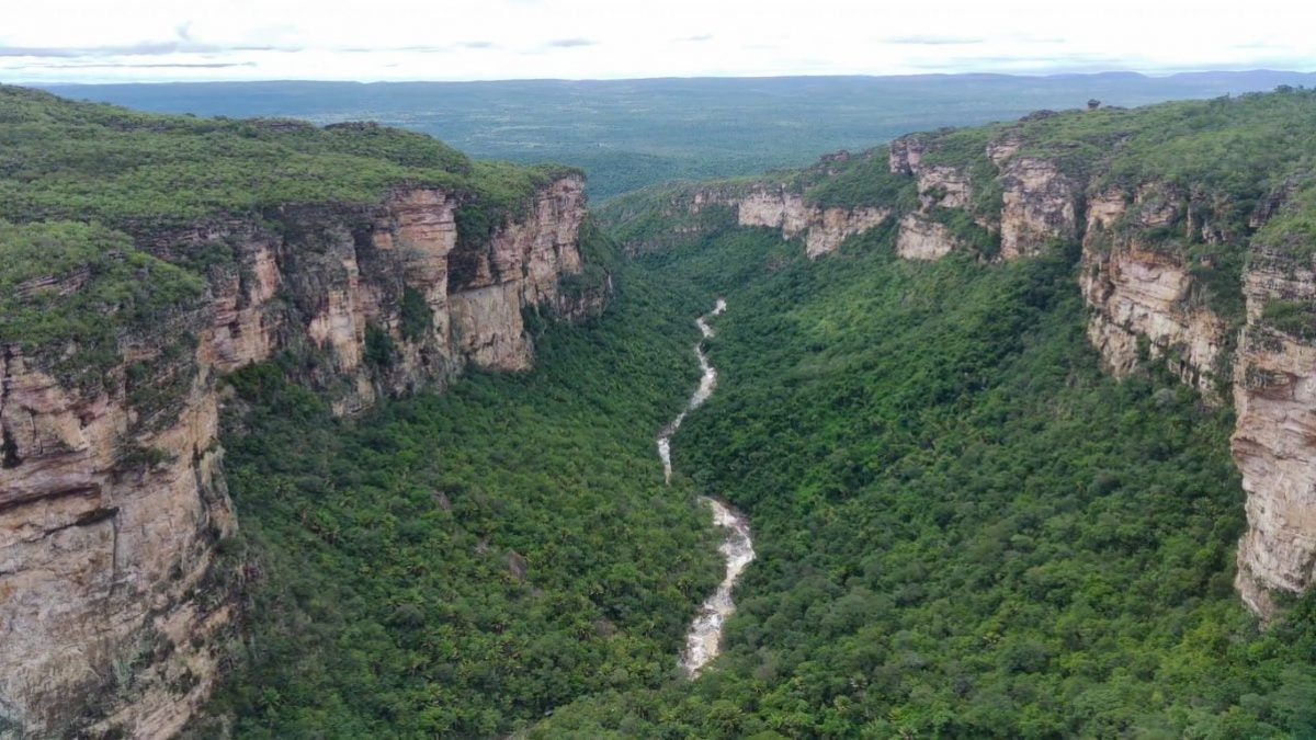 Explosão fundiária no sul da Chapada Diamantina levanta suspeitas de 'grilagem digital'