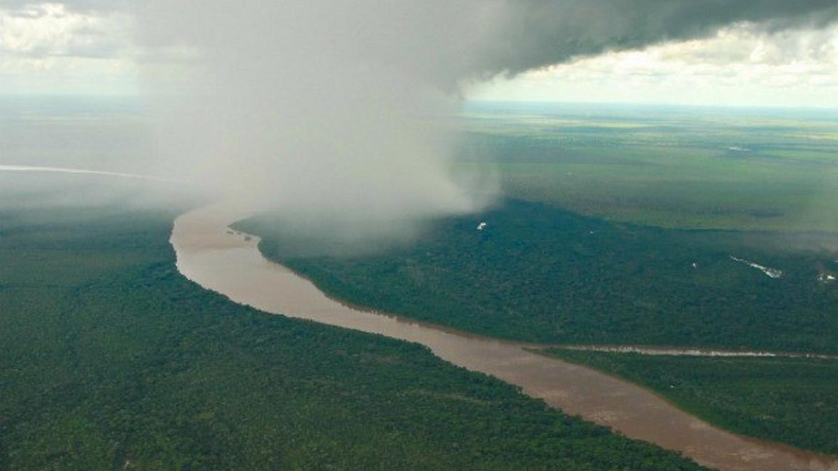 Estudo aponta que florestas públicas sem destinação são pilares dos rios voadores na Amazônia