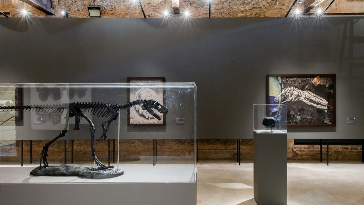 Museu Nacional ainda precisa de R$ 164 milhões para concluir reconstrução