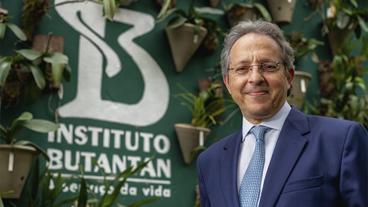 Butantan: quem tomou vacina da dengue há mais de 21 dias pode ficar tranquilo