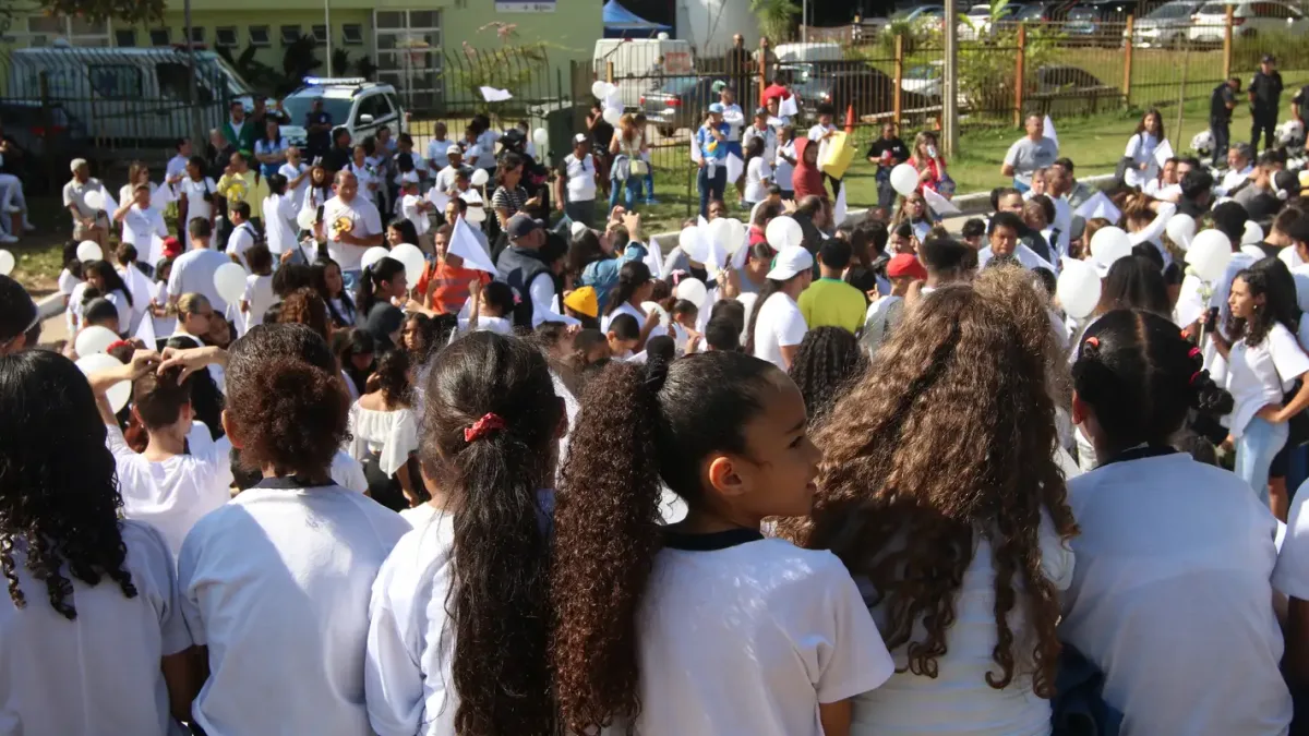Senado aprova inclusão de educação política e direitos da cidadania no currículo escolar