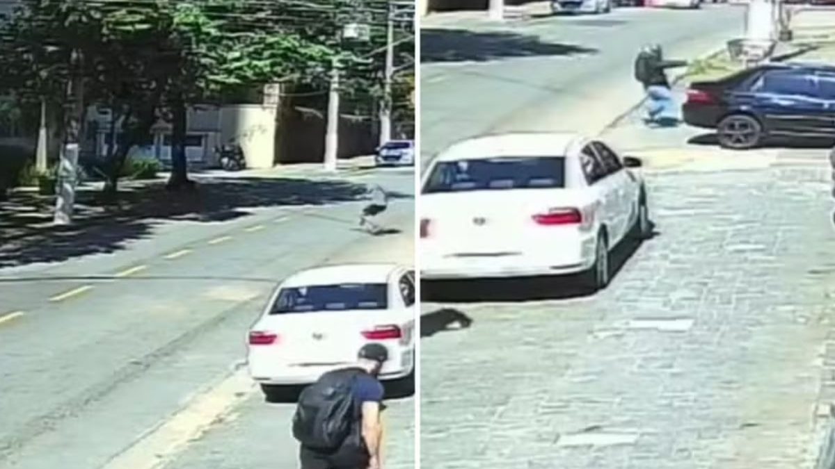 PM é baleado ao intervir em tentativa de assalto em SP; suspeito preso