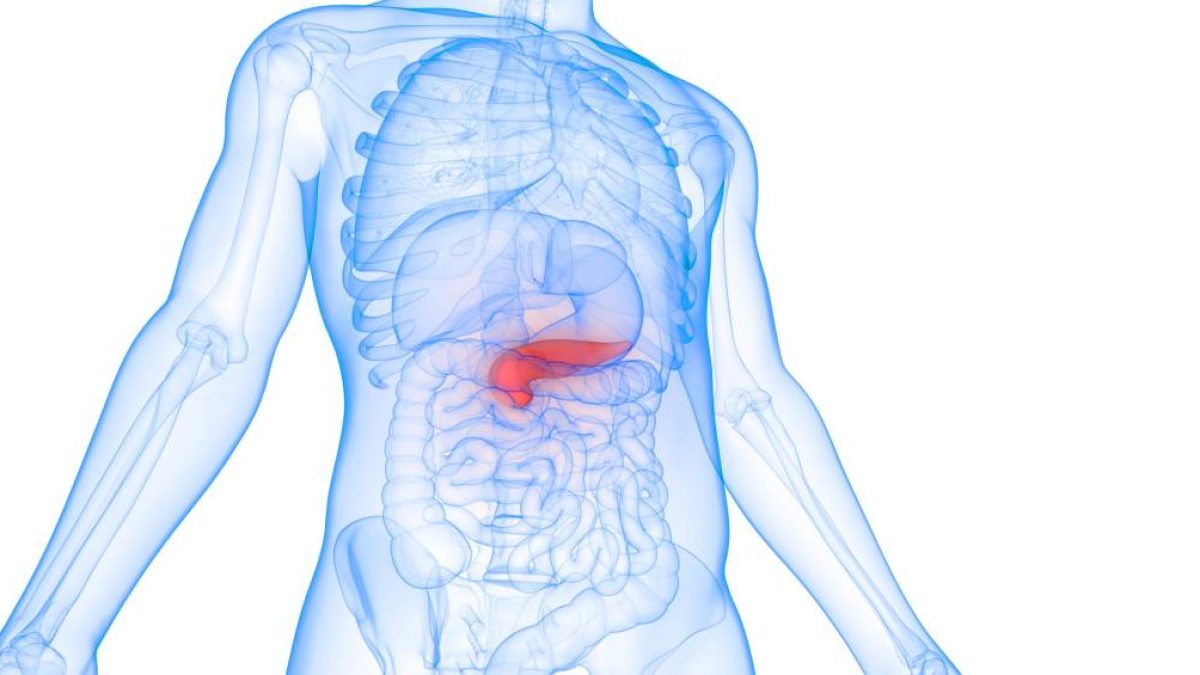 FDA aprova primeira terapia que retarda progressão do diabetes tipo 1 em crianças e adolescentes