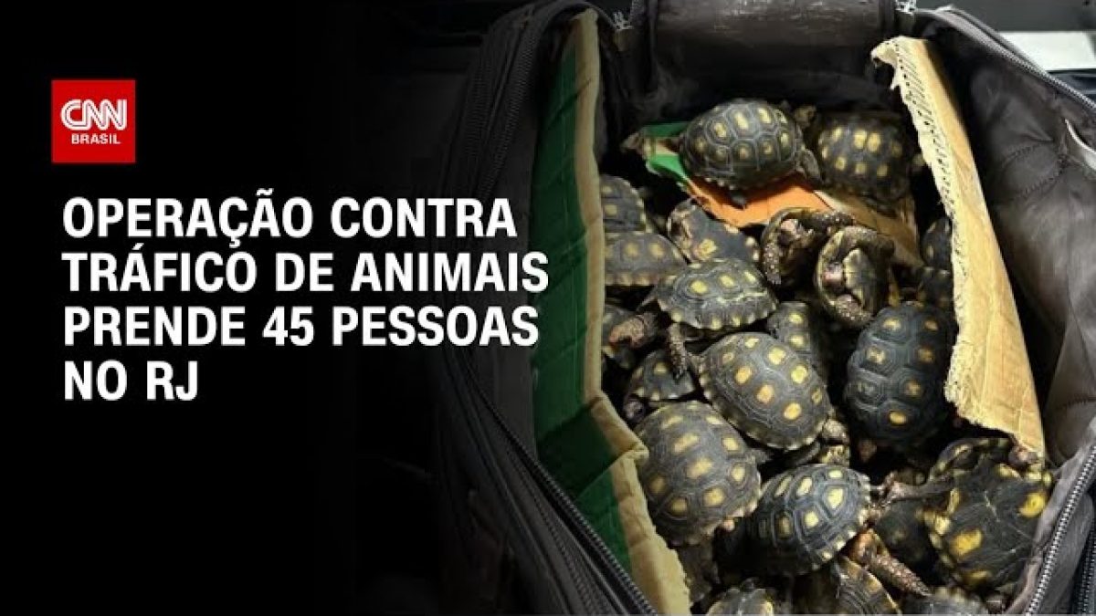 Ibama demite superintendente suspeito de tráfico de aves no RS