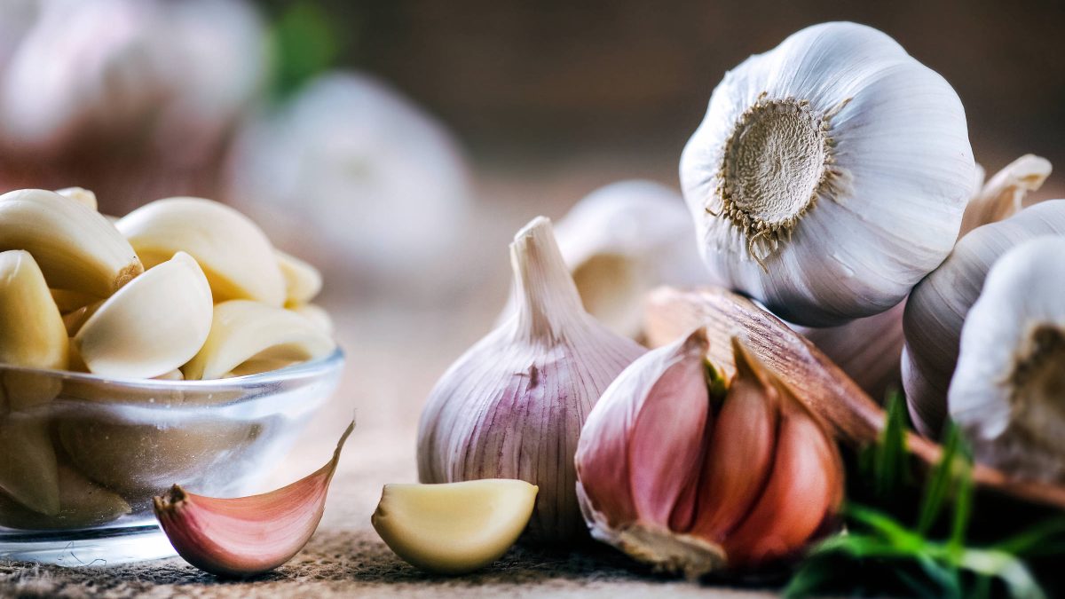 Composto do alho potencializa quimioterapia contra câncer colorretal, indica estudo da USP