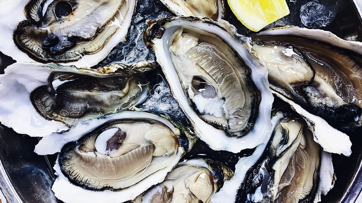 Superbactérias resistentes a antibióticos são encontradas em pescados e frutos do mar