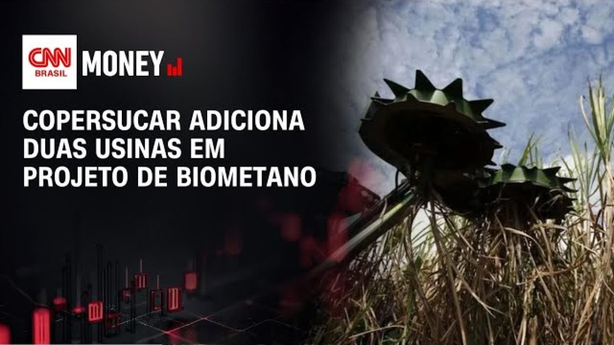 Copersucar registra lucro de R$ 631 milhões na safra 2025/26