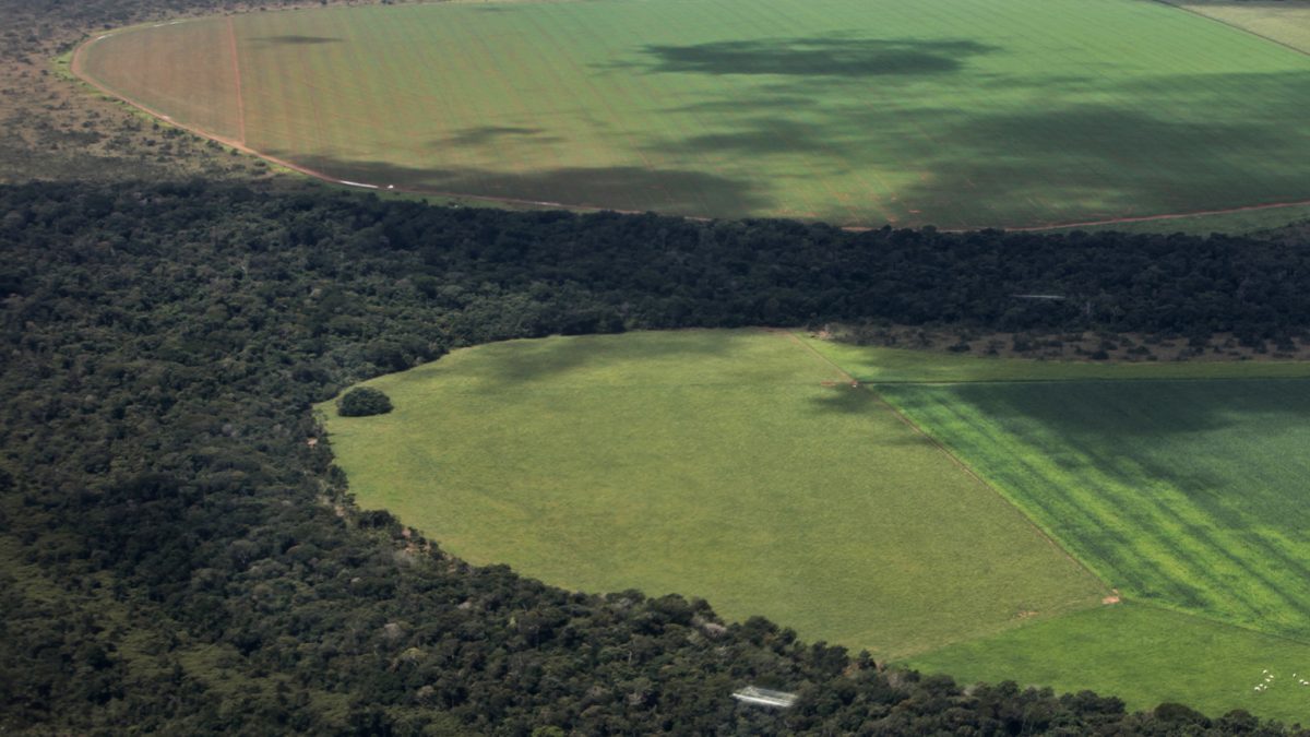 Lideranças indígenas reagem a possível fim da Moratória da Soja na Amazônia
