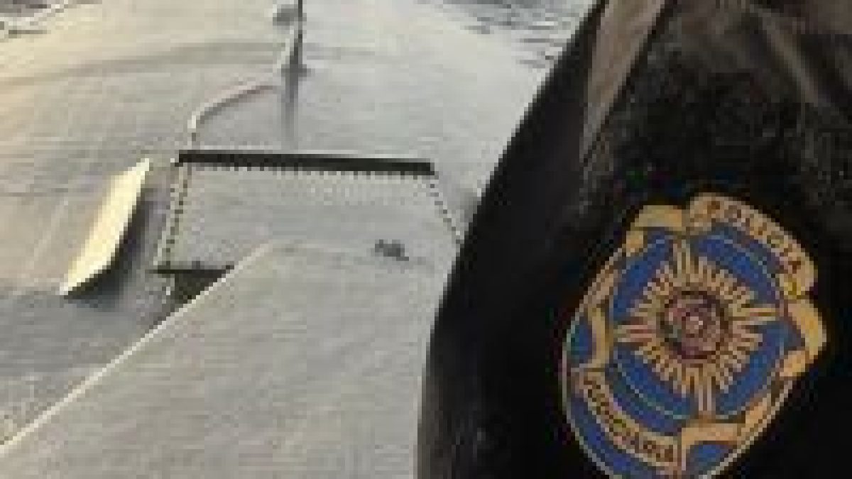 PF mira logística da Máfia dos Balcãs na Bahia e em SP para tráfico de cocaína à Europa