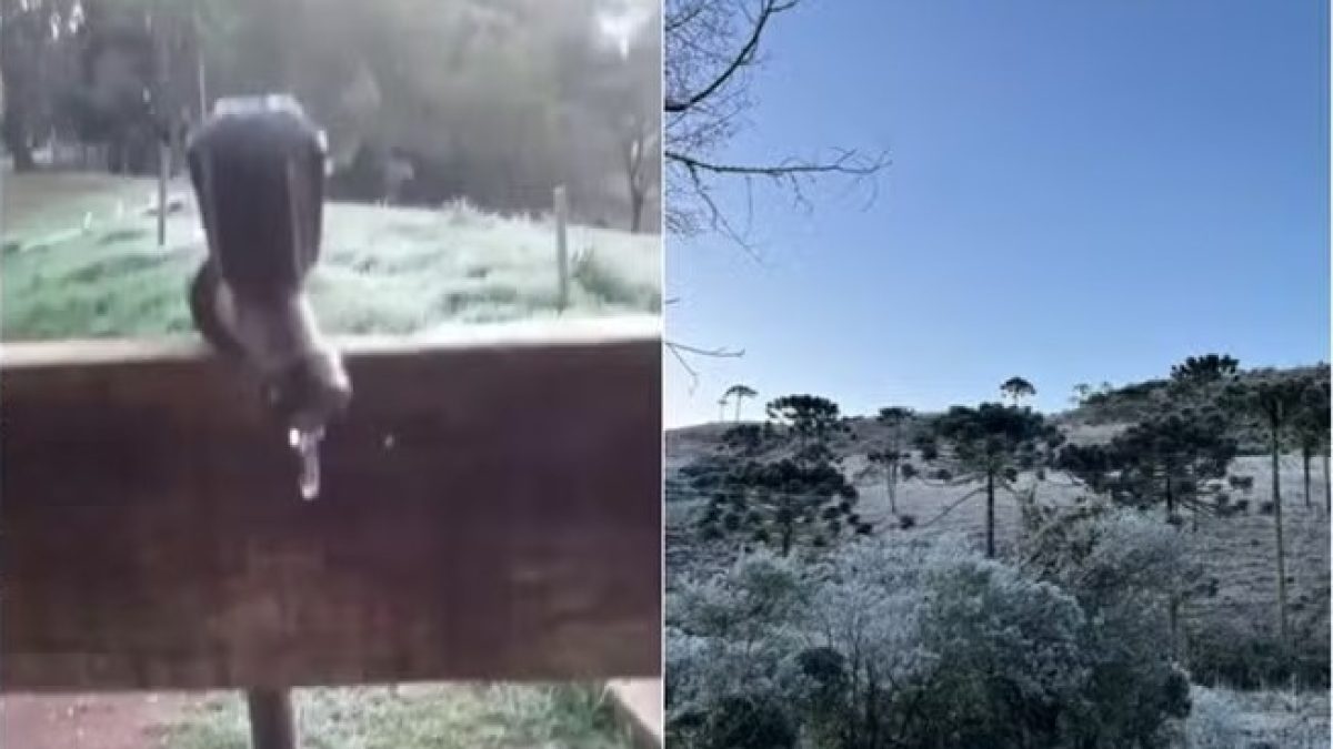 Dia mais frio do ano: o estado com 44 cidades abaixo de 0ºC