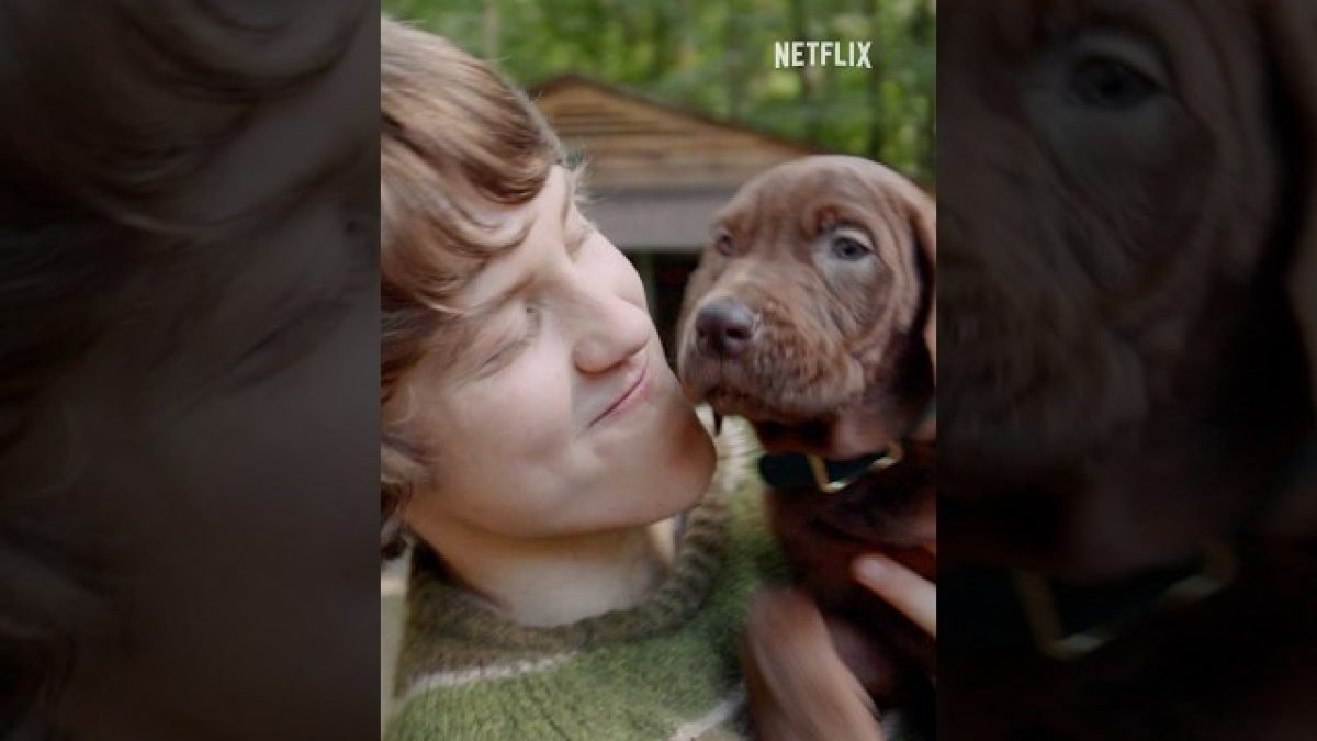 Netflix divulga primeira imagem de Scooby-Doo em nova série live-action