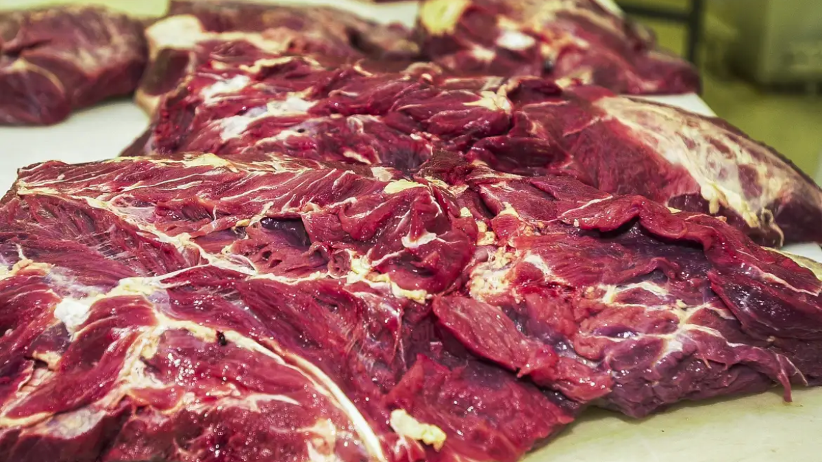UE veta carne brasileira por falhas no controle de antimicrobianos; Brasil busca reverter