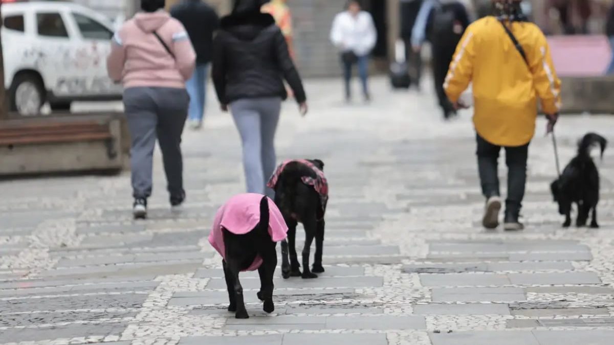 Frente fria traz risco de tempestade ao Sul do Brasil nesta semana