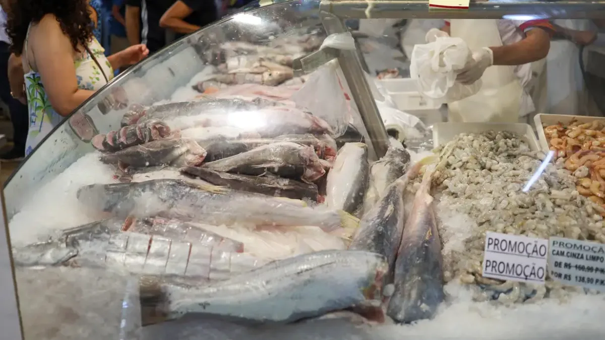 Pesca de tainha é suspensa no litoral após atingir 90% da cota