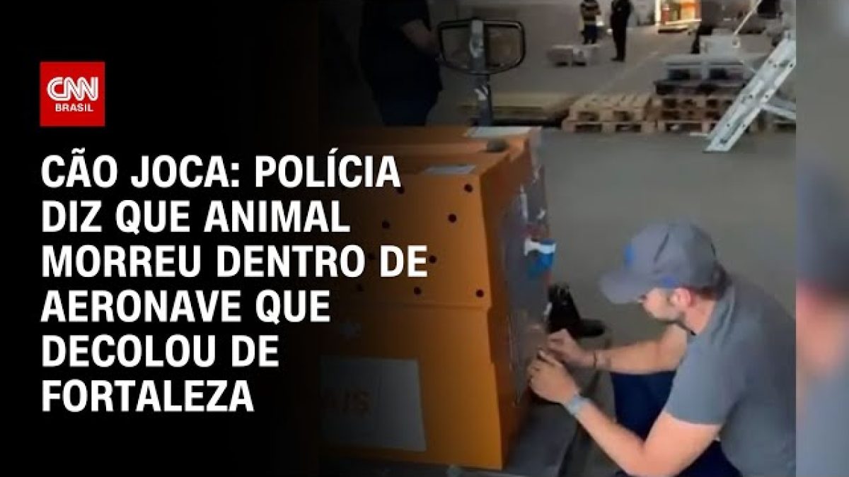 Caso Cão Joca: Justiça nega pedido da Gol para suspender processo em MT