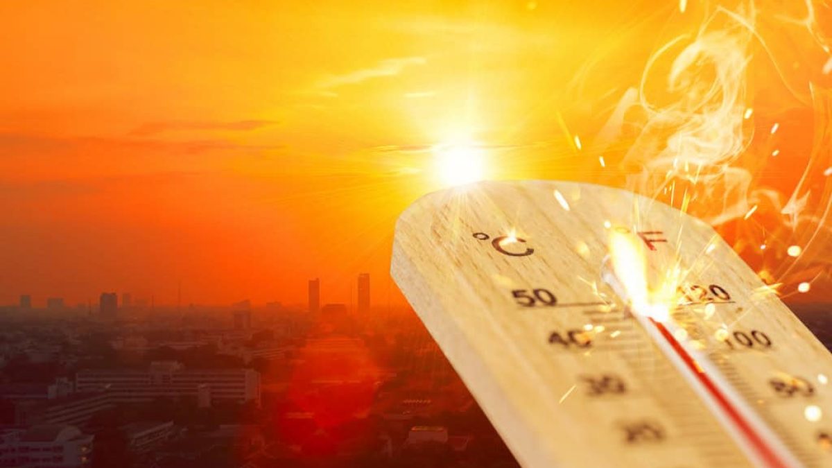 Amazonas decreta alerta climático por seca e calor extremo